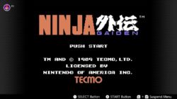 Ninja Gaiden