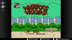 Wario's Woods