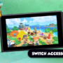 Animal Crossing New Horizons Nintendo Switch Accessory Guide