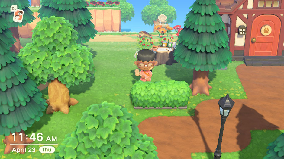 How to get hedges in Animal Crossing: New Horizons - LootPots How to get hedges in Animal Crossing: New Horizons - LootPots
